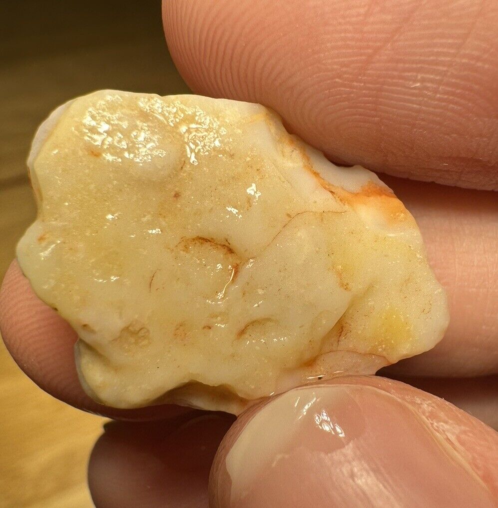 11.5 Carats Solid Rough Coober Pedy Opal Piece with Beautiful Colour B1 shell