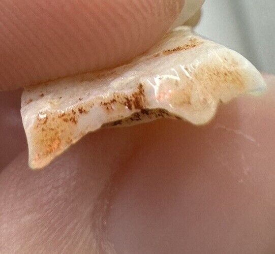 3.4 Carats Solid Rough Coober Pedy Opal Piece with Beautiful Colour