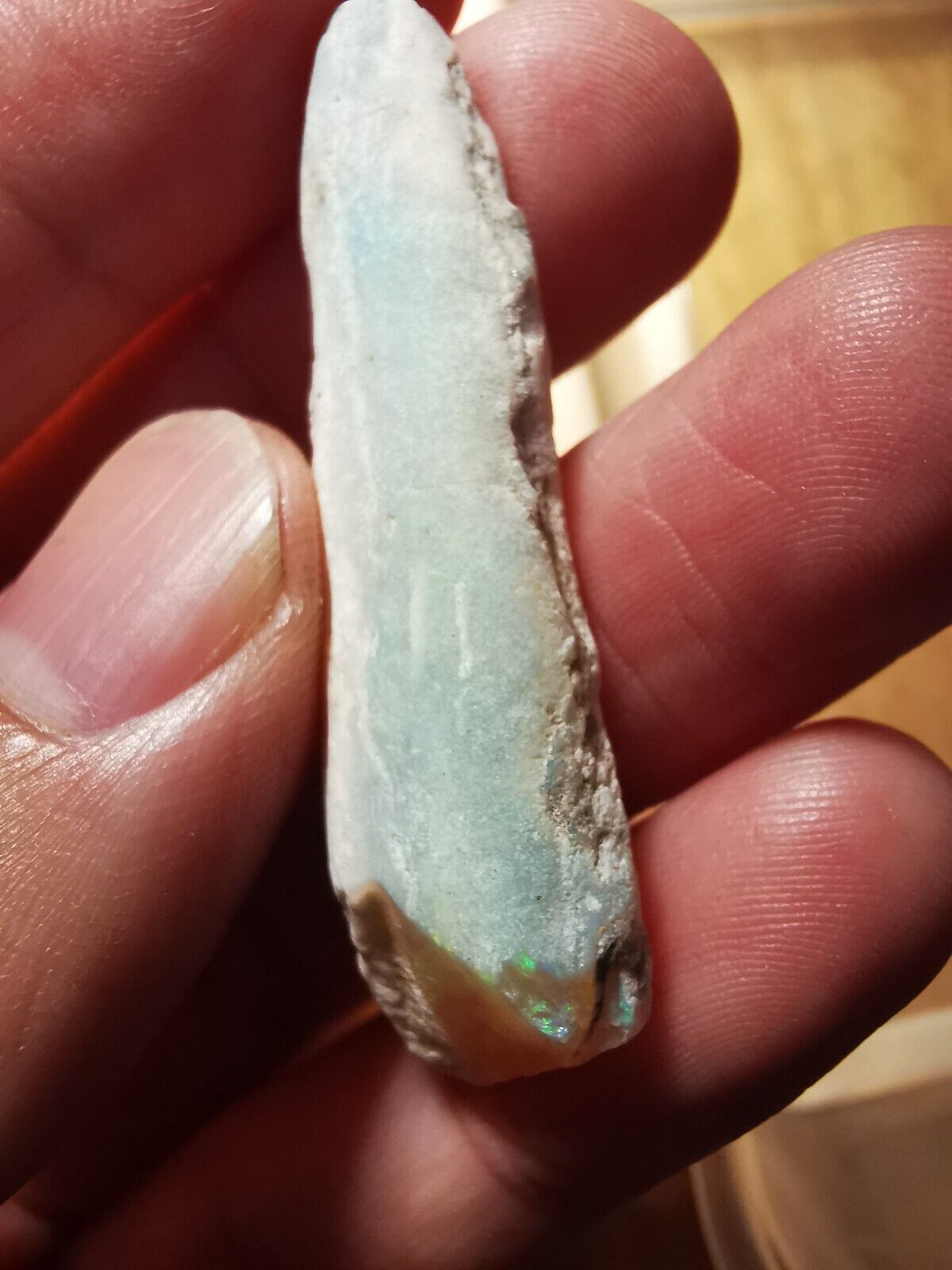 Coober Pedy Opal rough pipe 30ct with Beautiful Colour B1