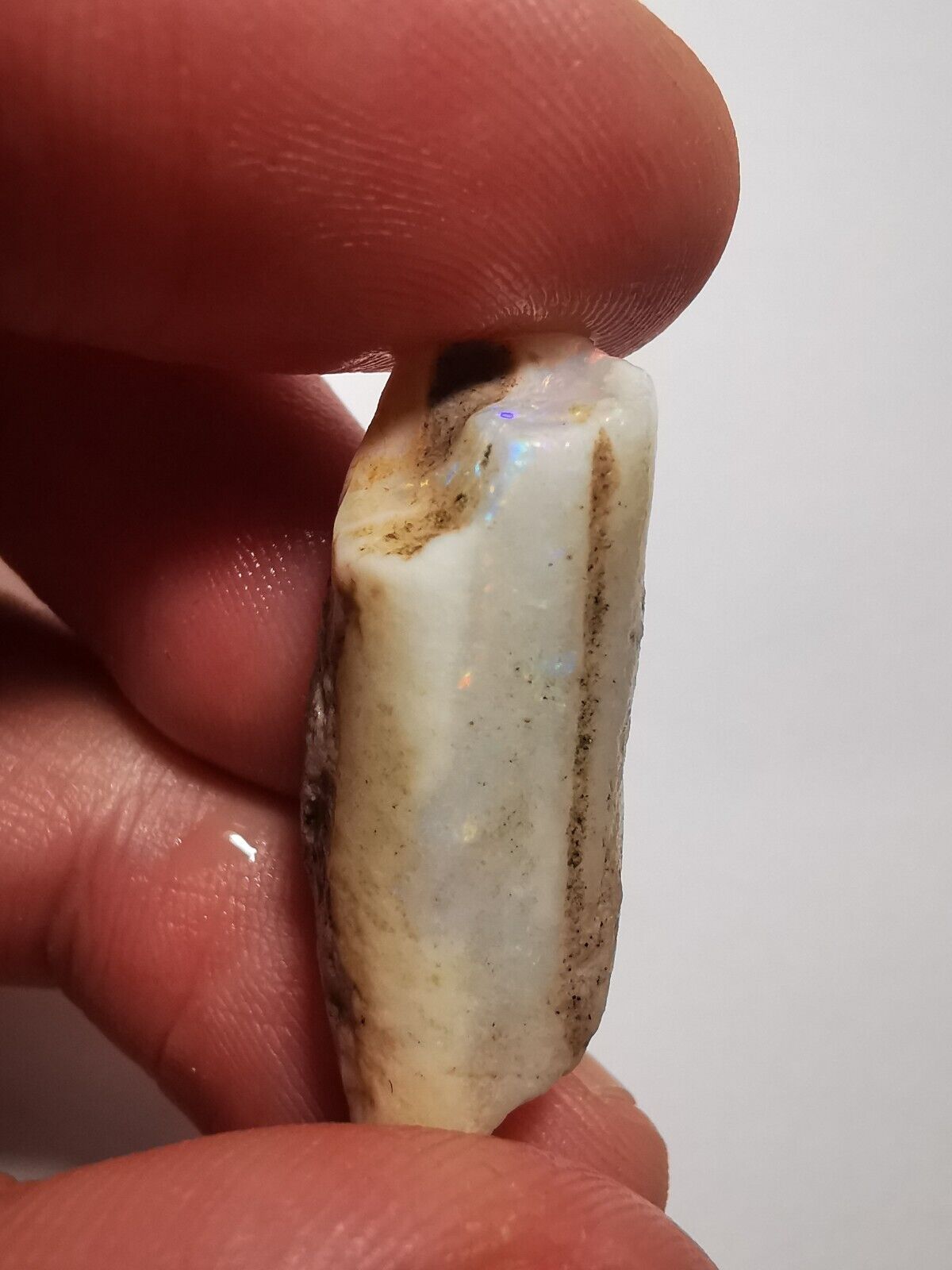 Coober Pedy Opal rough pipe 20.8 ct with Beautiful Colour B1