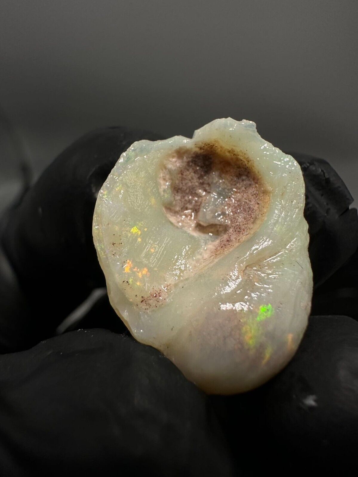 Coober Pedy Opal rough snail 23ct with Beautiful Colour B1