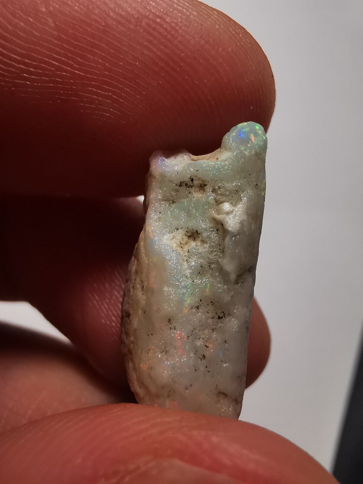 Coober Pedy Opal rough pipe 9.3 ct with Beautiful Colour B1