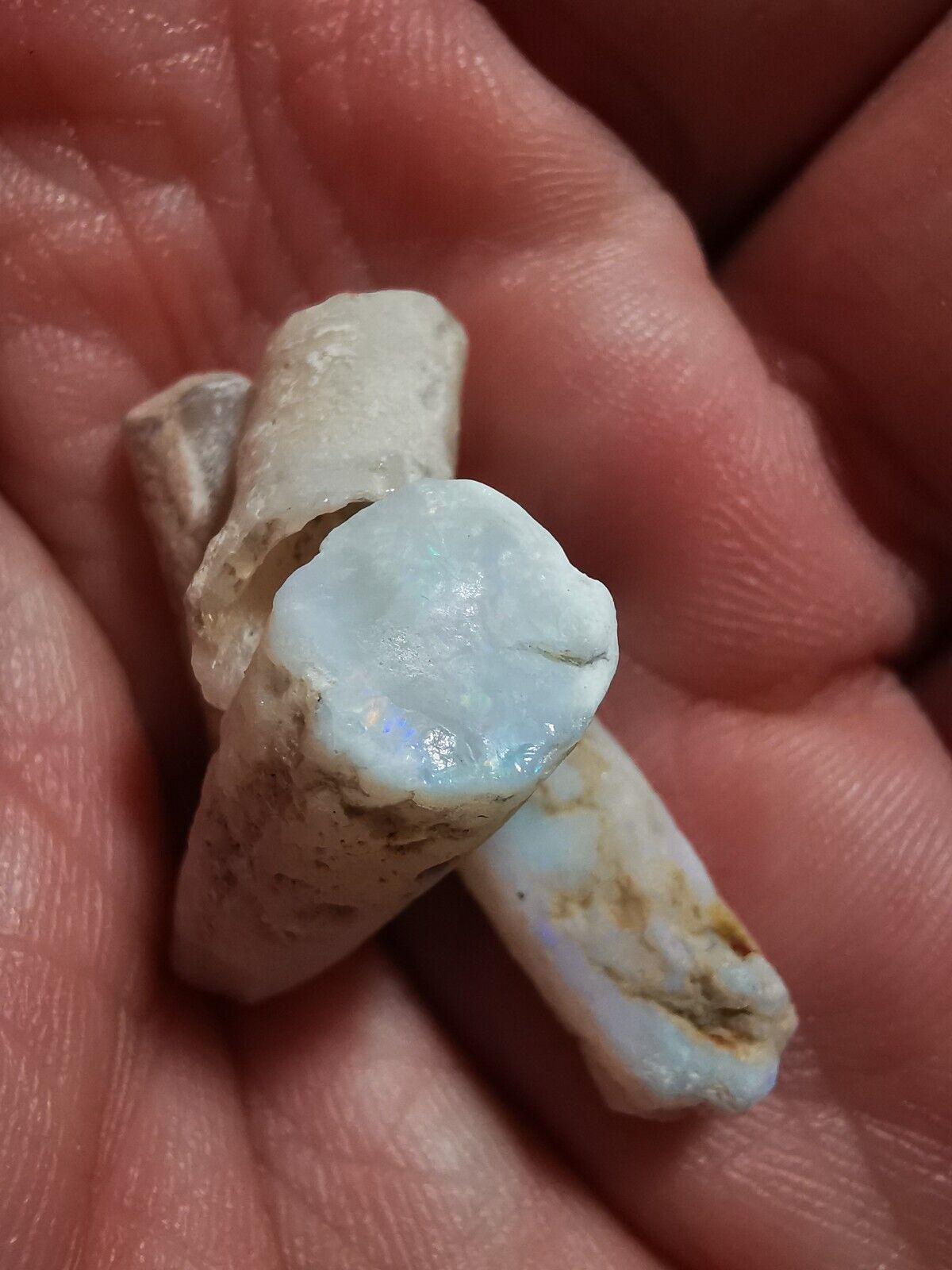 Coober Pedy Opal rough pipe 15ct with Beautiful Colour B1