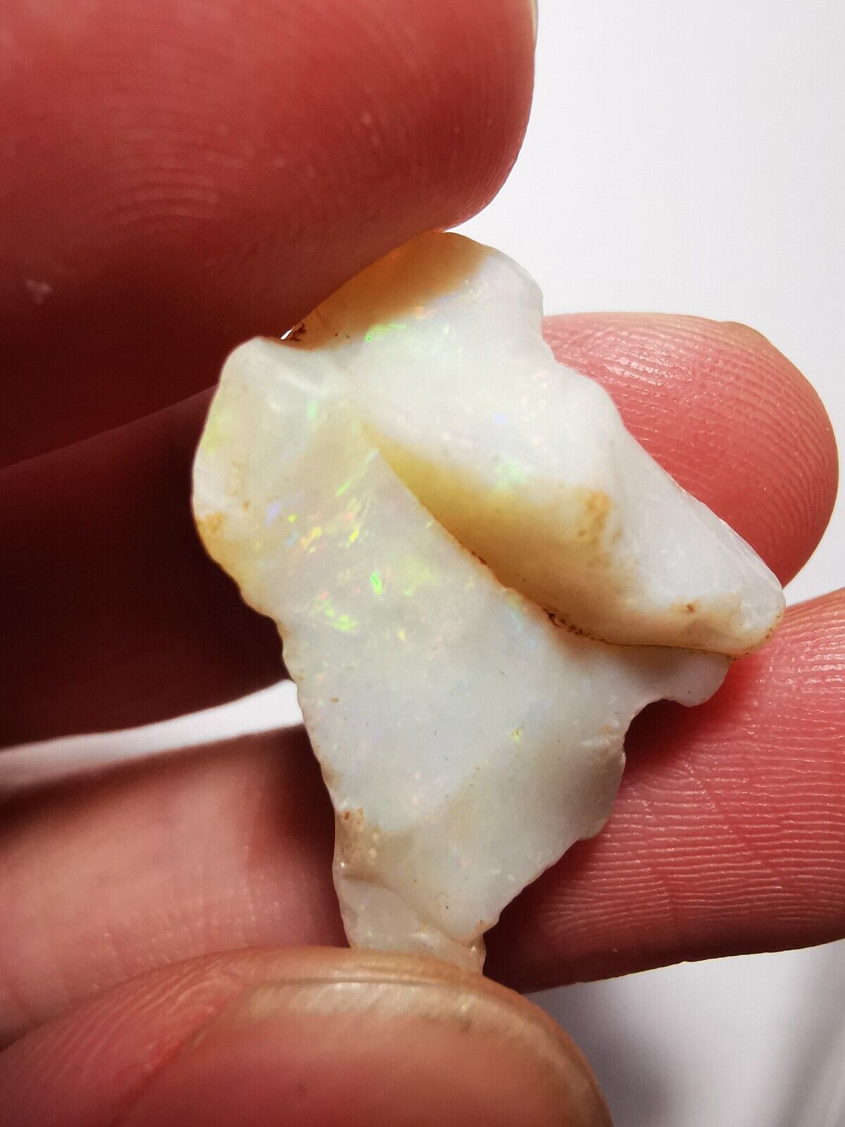 Rough opal Coober Pedy 16.5ct B1 Piece with Beautiful Colour