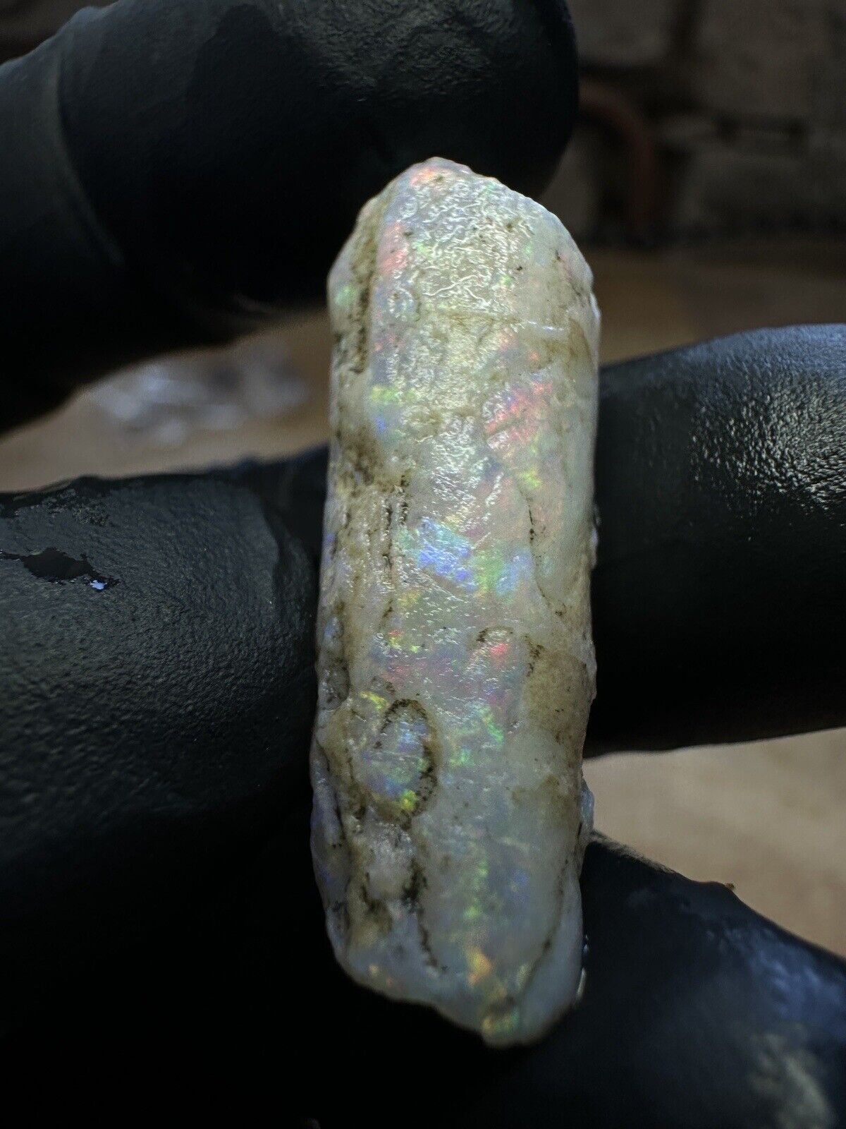 Coober Pedy 22ct Opalized Belemnite Pipe Piece With Rainbow Colors
