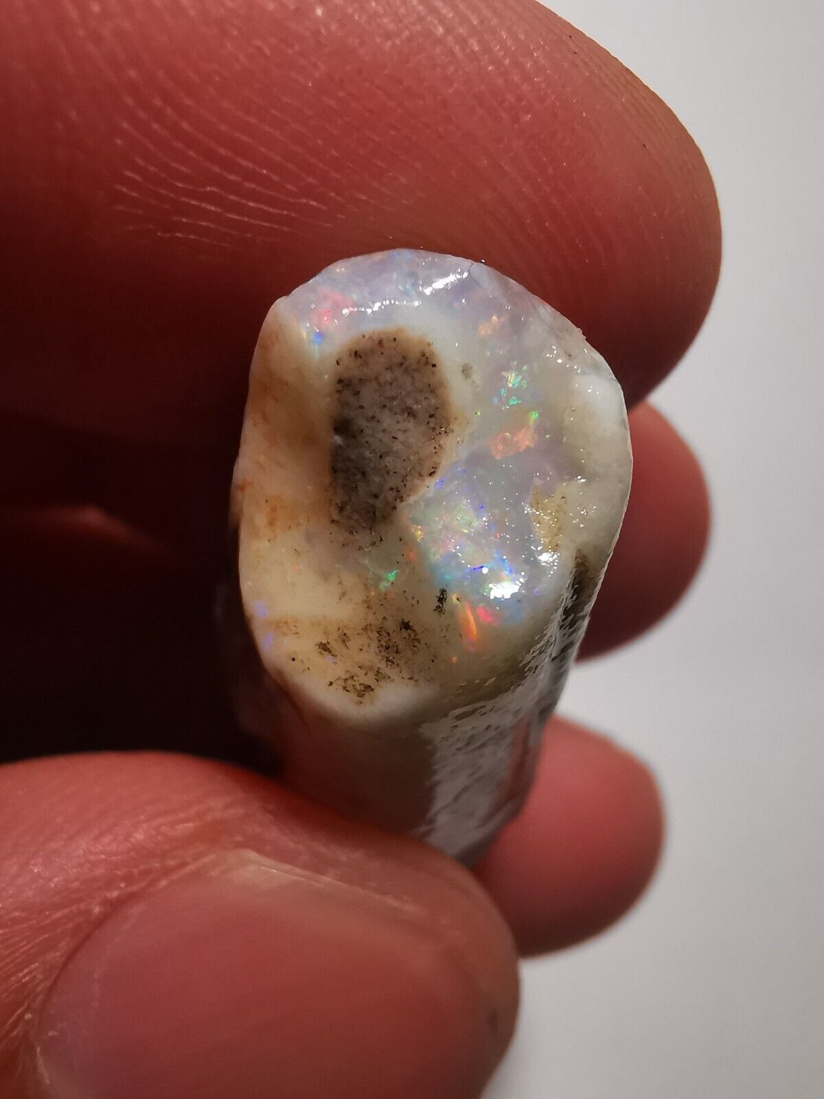 Coober Pedy Opal rough pipe 20.8 ct with Beautiful Colour B1