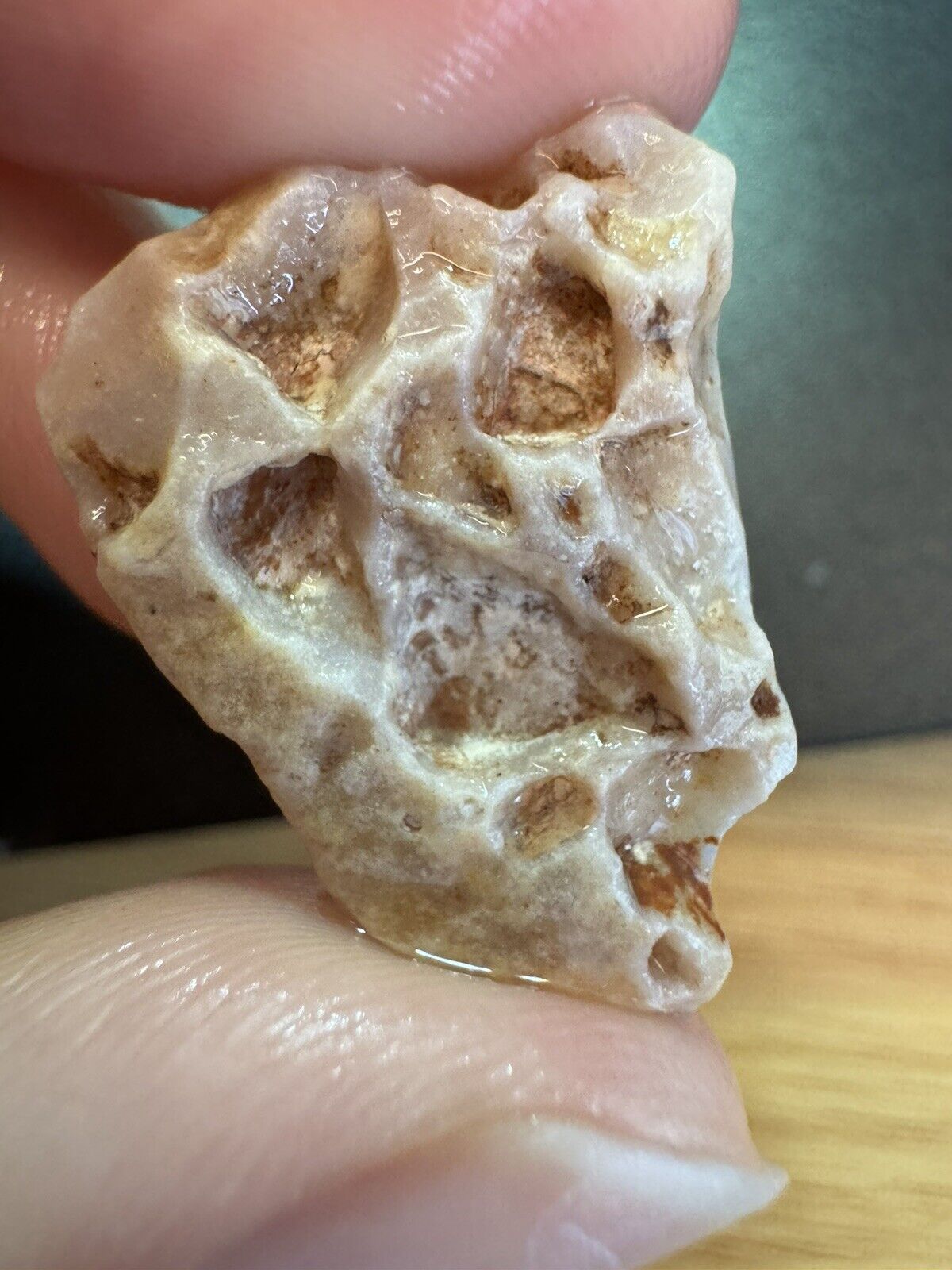 11.6 Carats Solid Rough Coober Pedy Opal Piece with Beautiful Colour