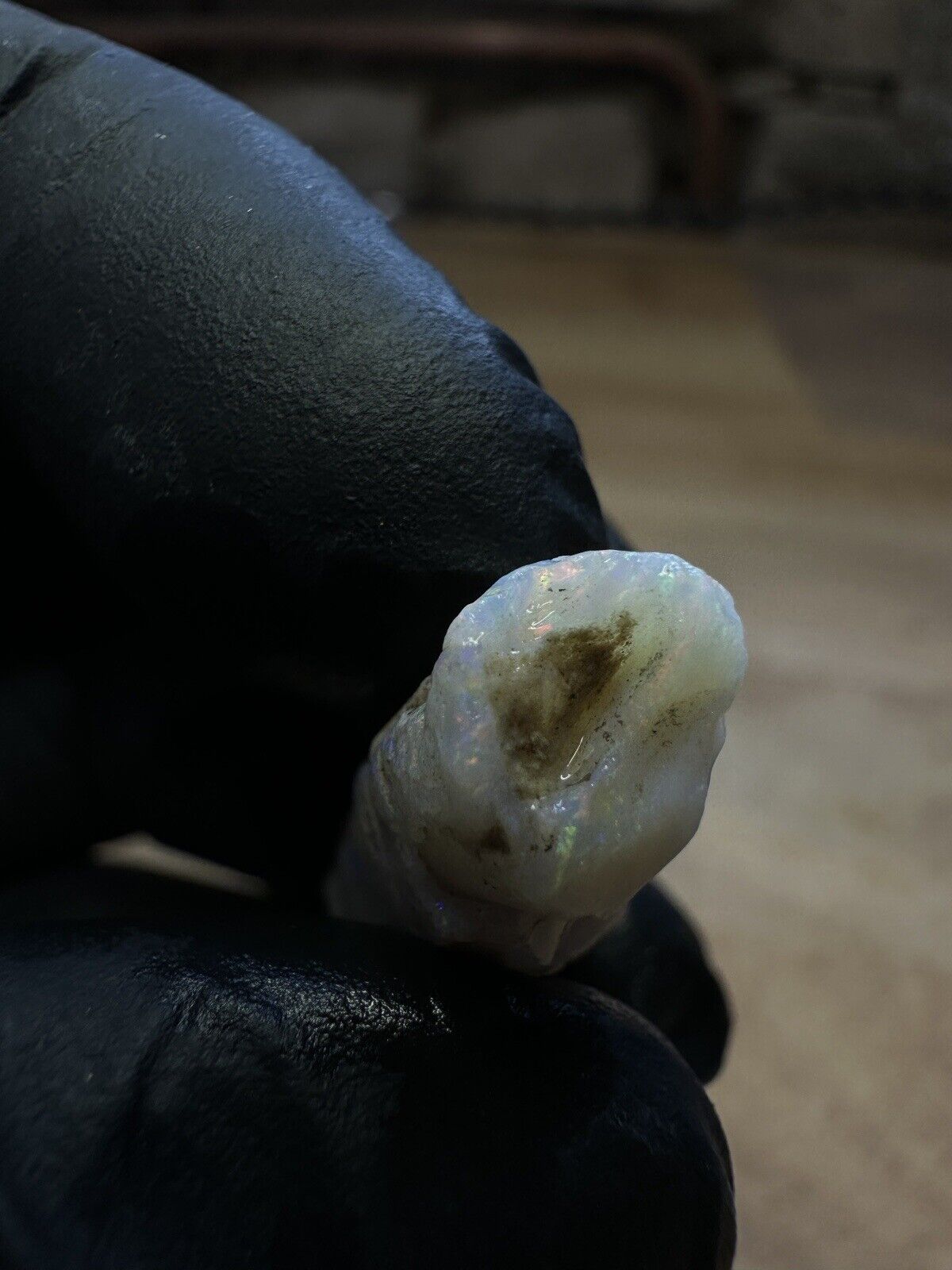 Coober Pedy 22ct Opalized Belemnite Pipe Piece With Rainbow Colors