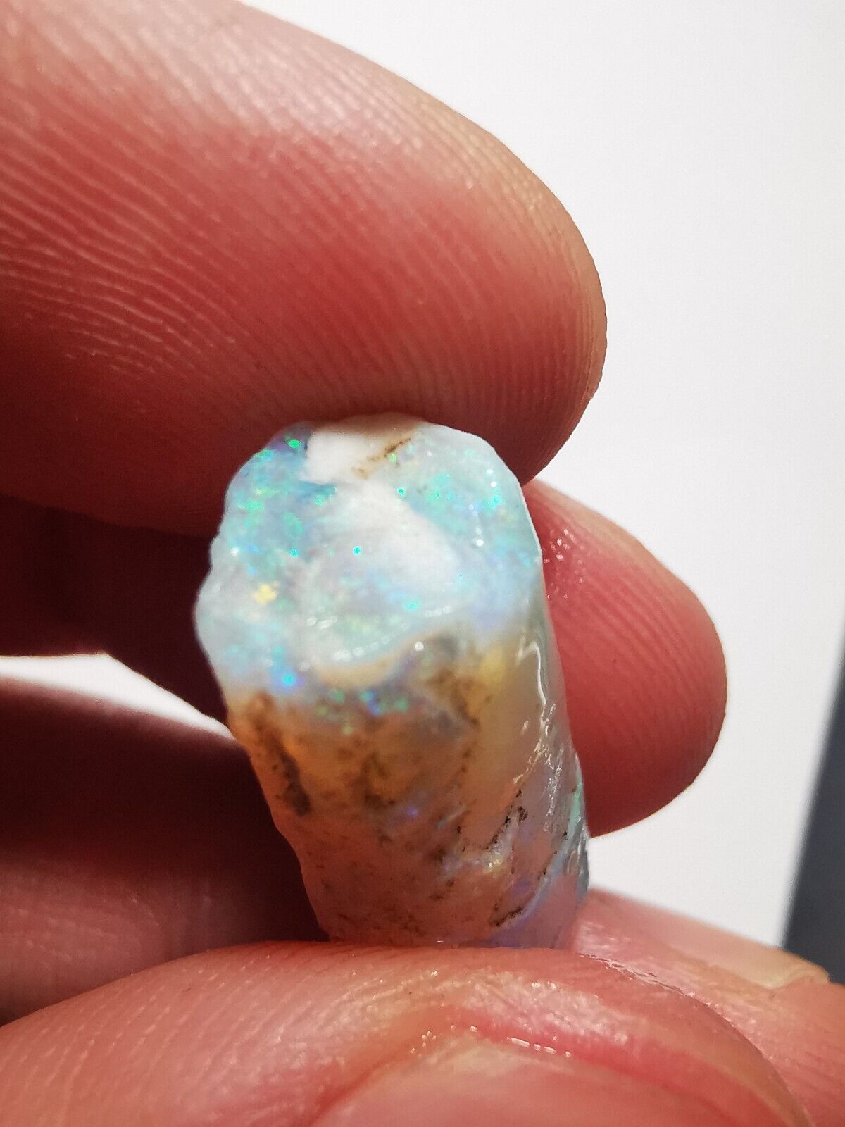 Coober Pedy Opal rough pipe 10.3ct with Beautiful Colour B1