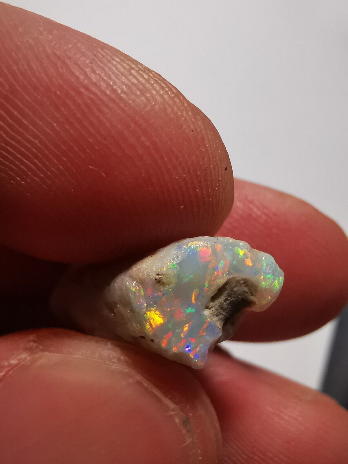 Coober Pedy Opal rough pipe 9.3 ct with Beautiful Colour B1