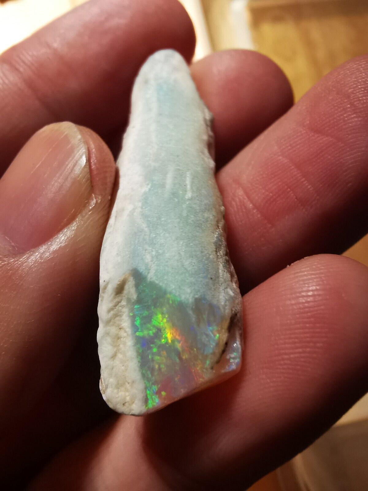 Coober Pedy Opal rough pipe 30ct with Beautiful Colour B1
