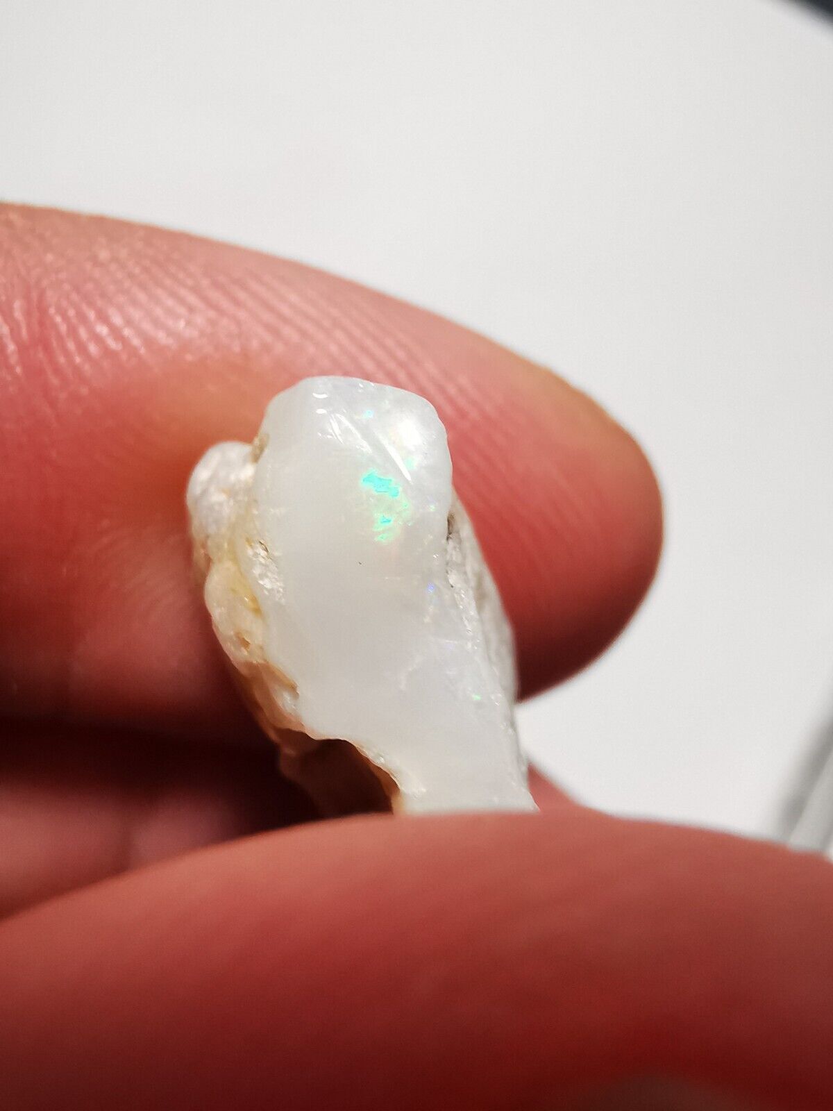 Coober Pedy 9.5ct B1 rough opal Piece with Beautiful Colour