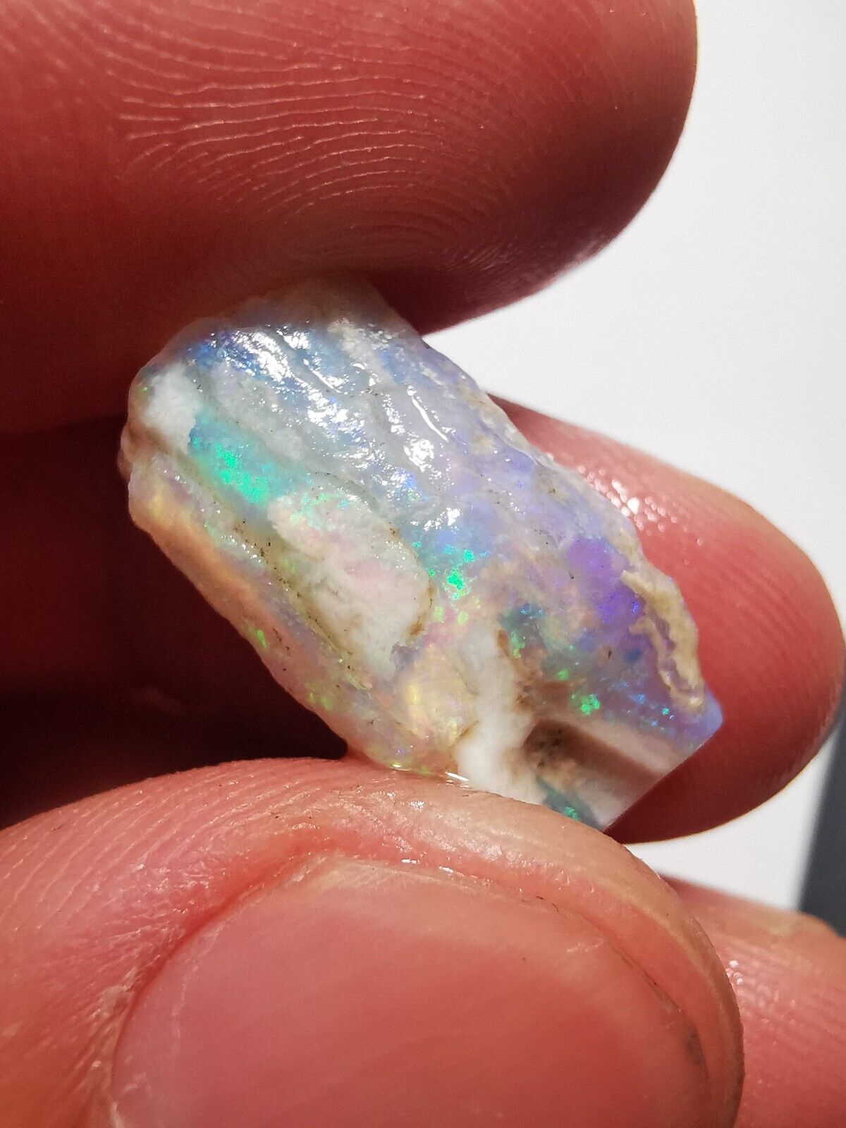 Coober Pedy Opal rough pipe 10.3ct with Beautiful Colour B1