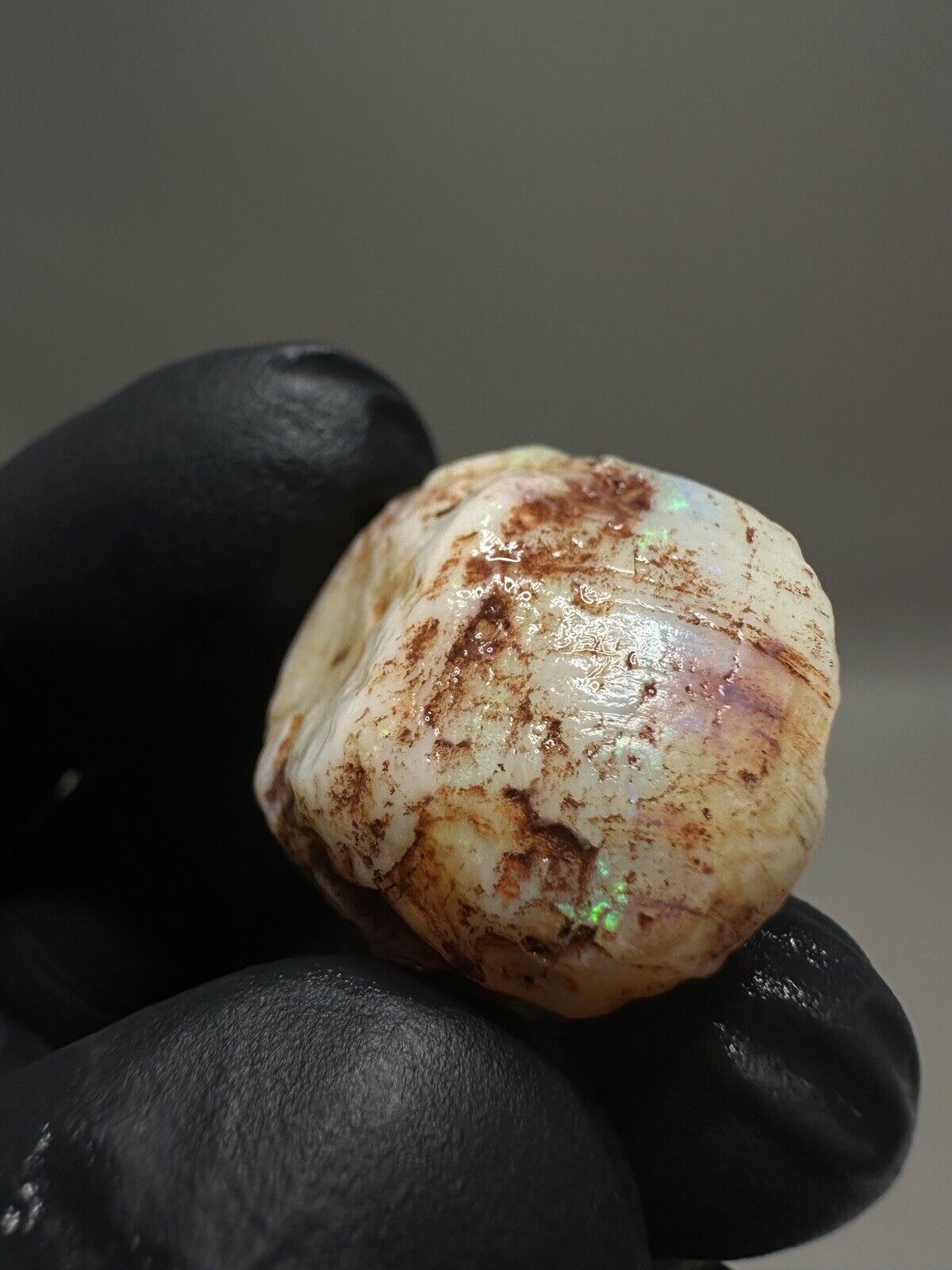 44 Carats Solid Rough Coober Pedy Crystal Opal Shell Piece with Beautiful Colour
