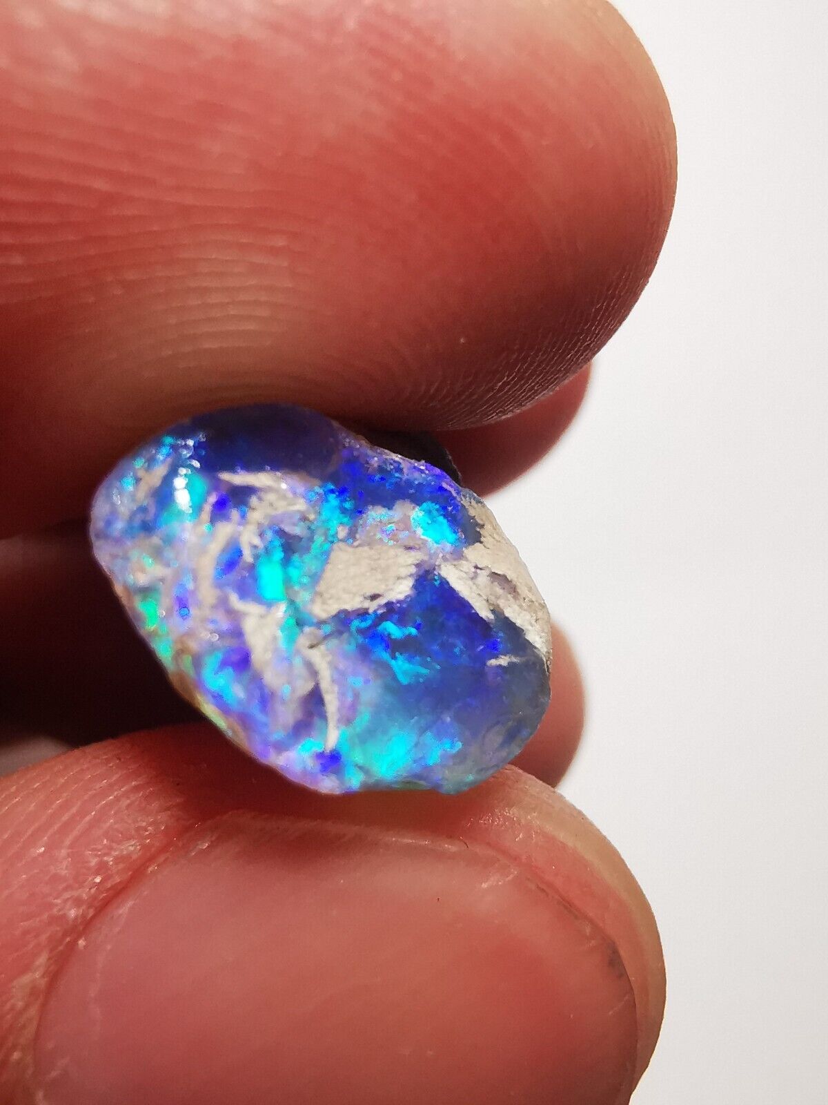 Coober Pedy Opal rough pipe 11.6ct with Beautiful Colour B1