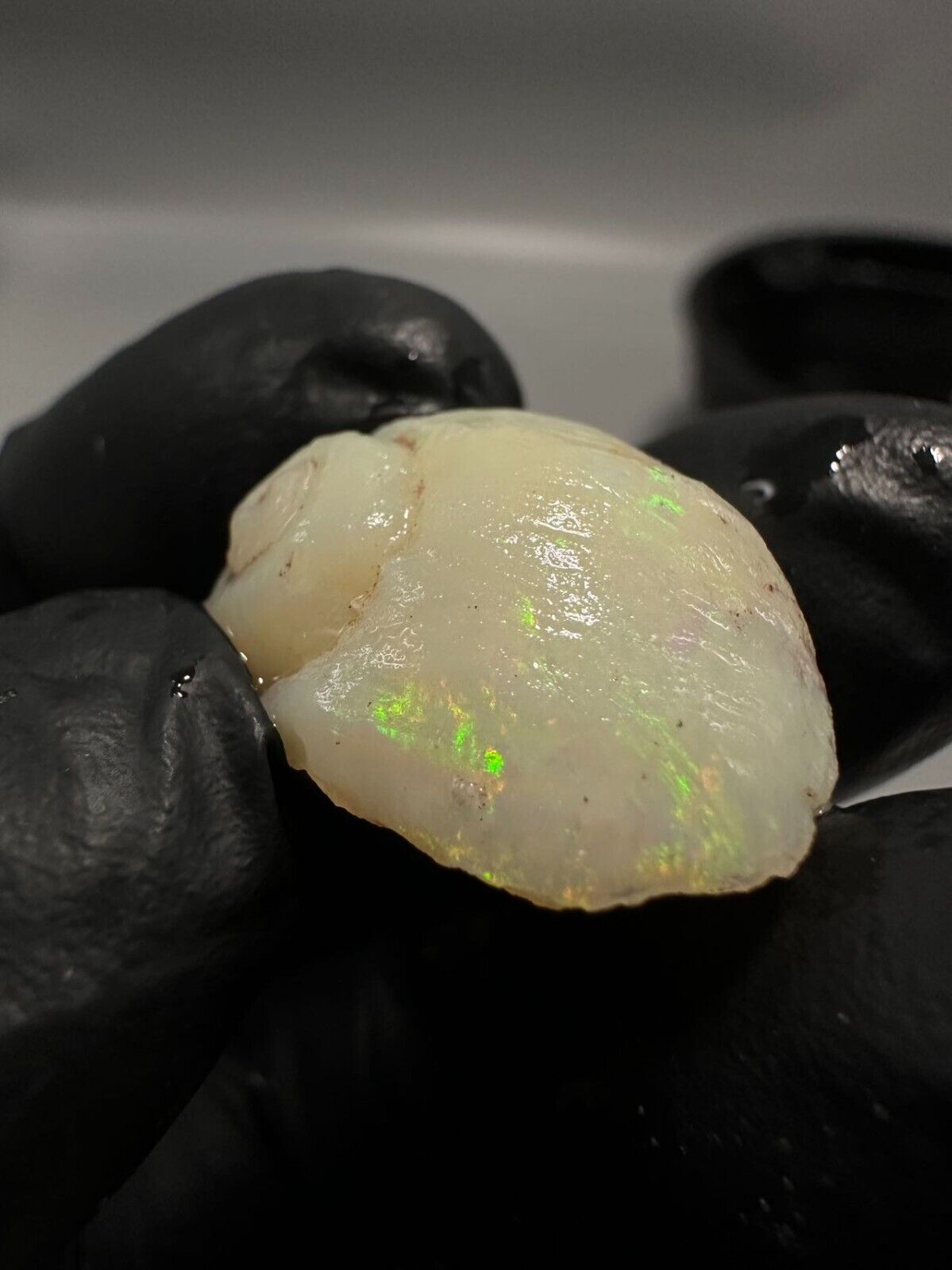 Coober Pedy Opal rough snail 23ct with Beautiful Colour B1