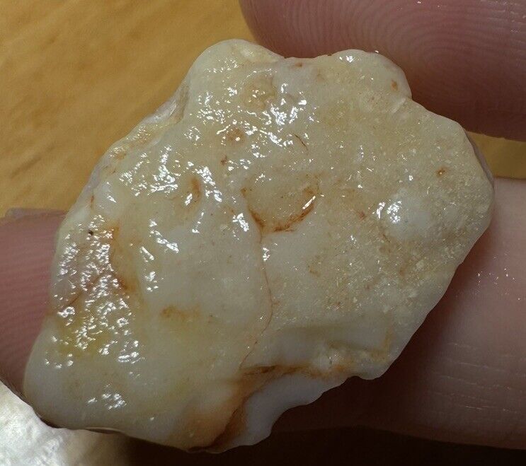 15.5 Carats Solid Rough Coober Pedy Opal Piece with Beautiful Colour B1 shell