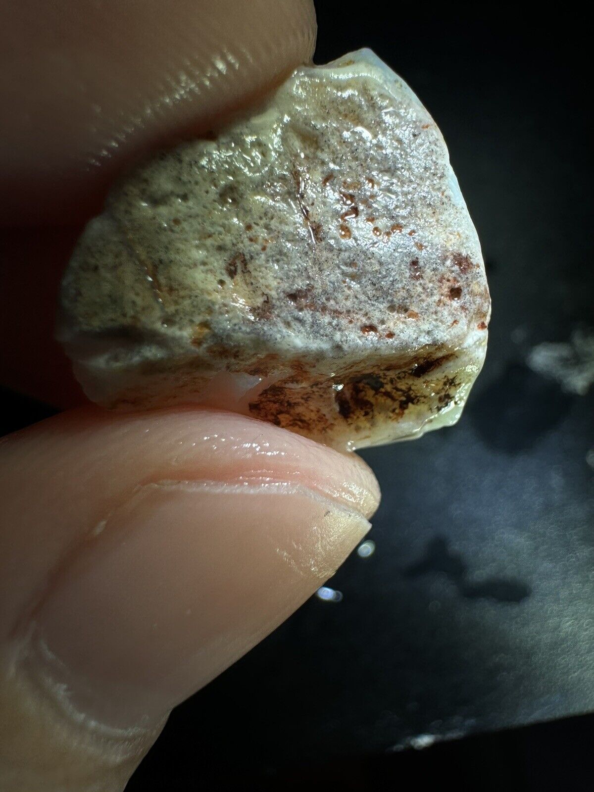 9.5 Carats Solid Rough Coober Pedy Opal Piece with Beautiful Colour B1