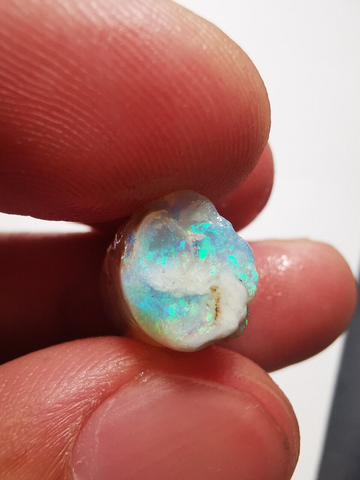 Coober Pedy Opal rough pipe 10.3ct with Beautiful Colour B1