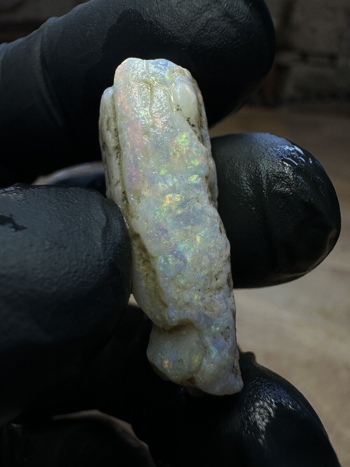 Coober Pedy 22ct Opalized Belemnite Pipe Piece With Rainbow Colors