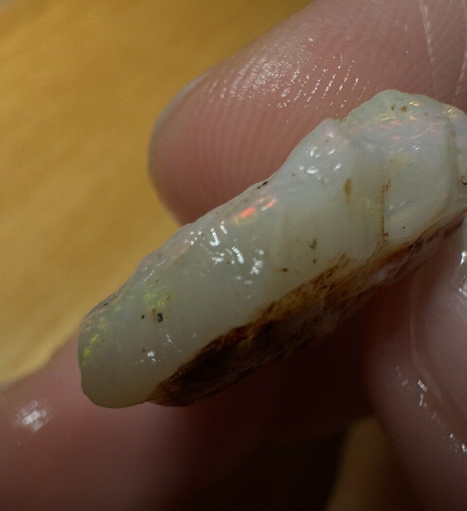 8.6 Carats Solid Rough Coober Pedy Opal Piece with Beautiful Colour B1 shell