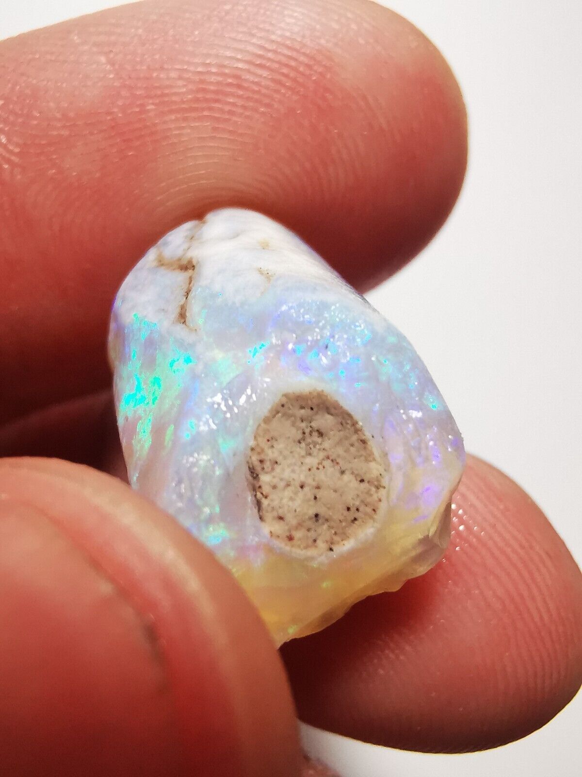 Coober Pedy Opal rough pipe 14ct with Beautiful Colour B1