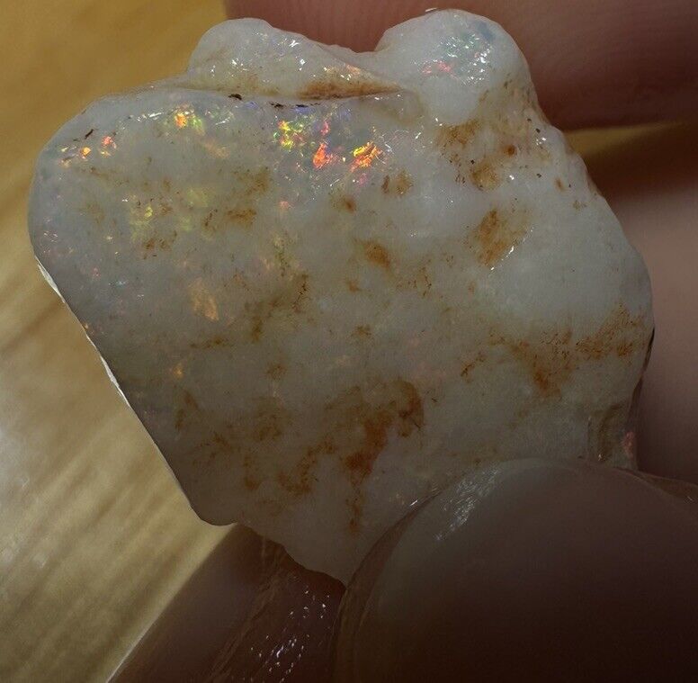 8.6 Carats Solid Rough Coober Pedy Opal Piece with Beautiful Colour B1 shell