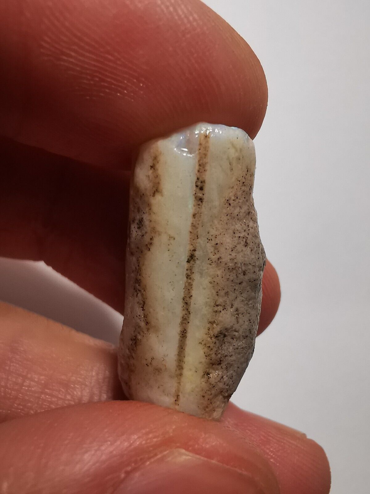Coober Pedy Opal rough pipe 20.8 ct with Beautiful Colour B1