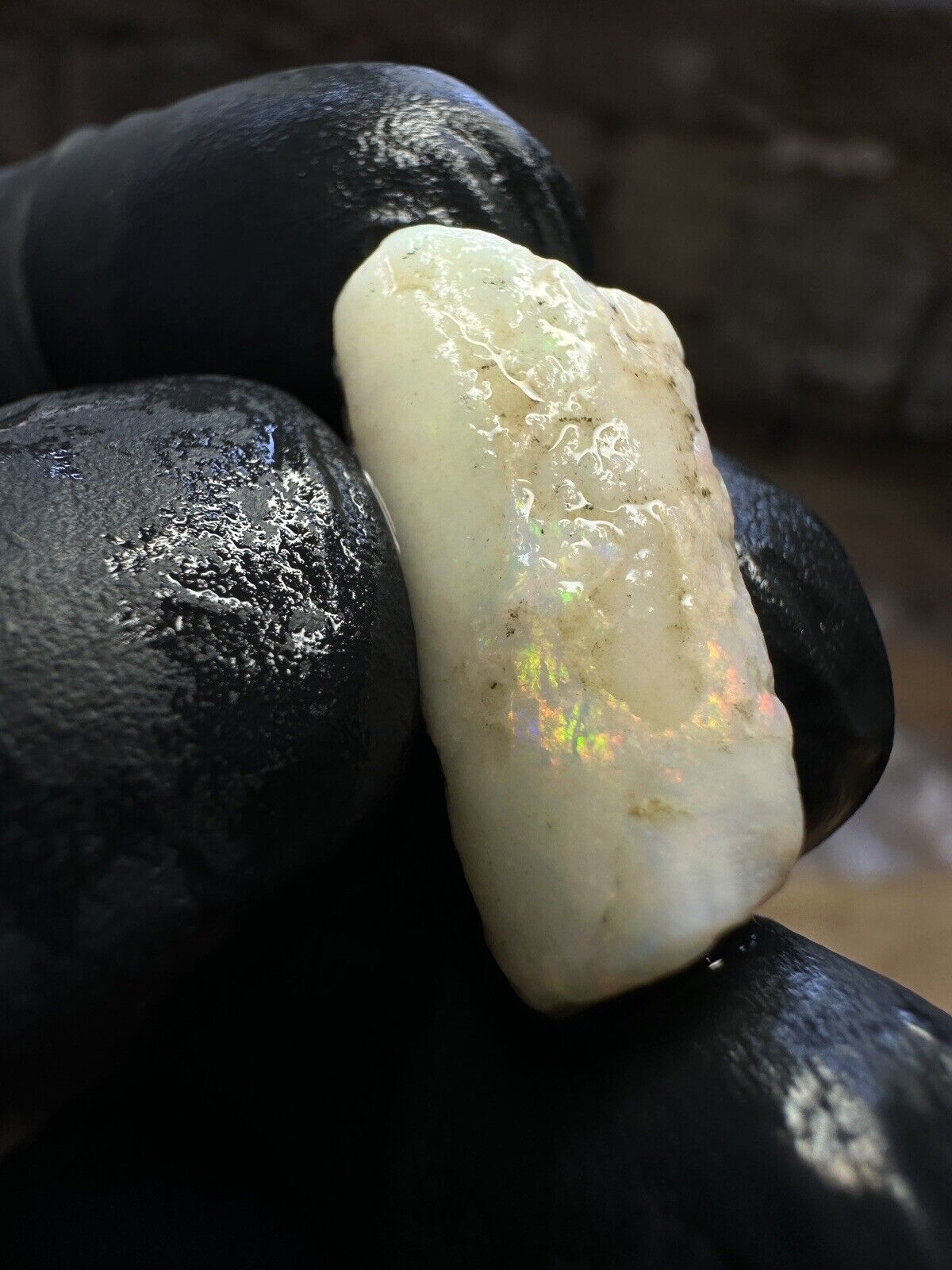 Coober Pedy 12.1ct Opalized Belemnit Pipe Piece with Incredible Colour