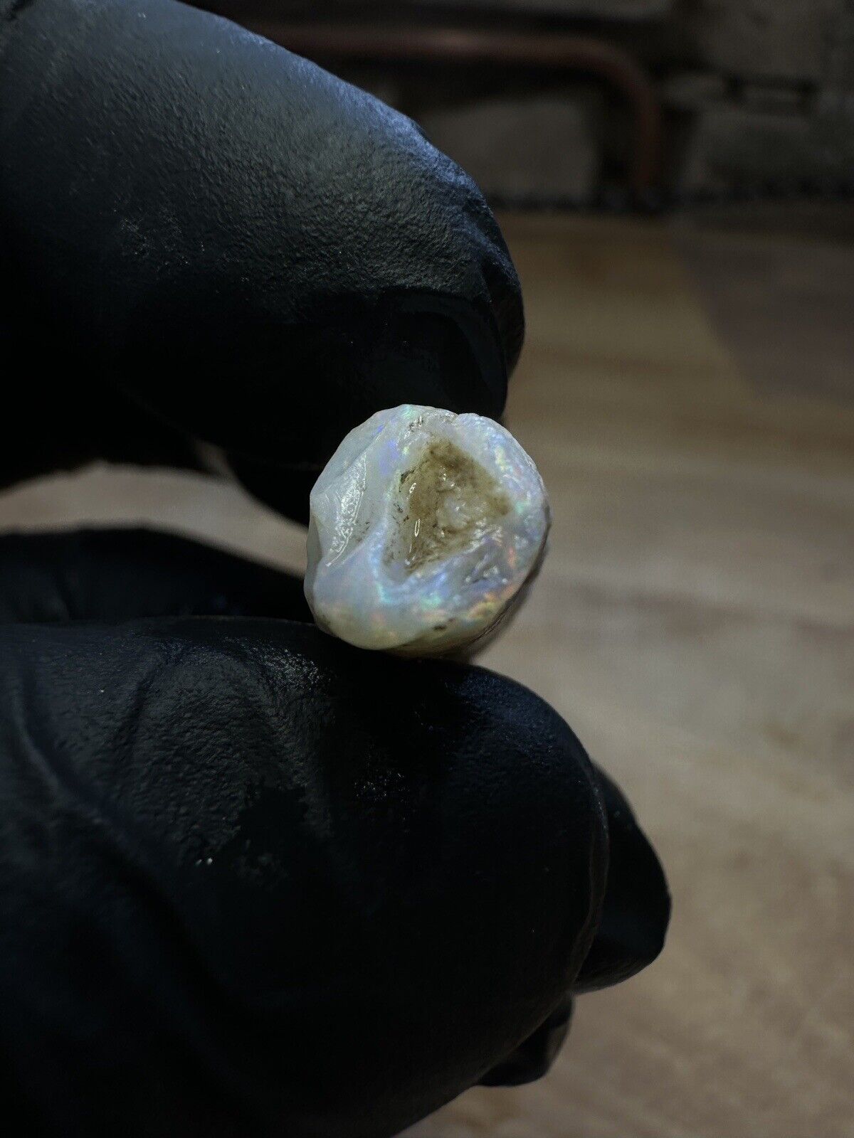 Coober Pedy 22ct Opalized Belemnite Pipe Piece With Rainbow Colors