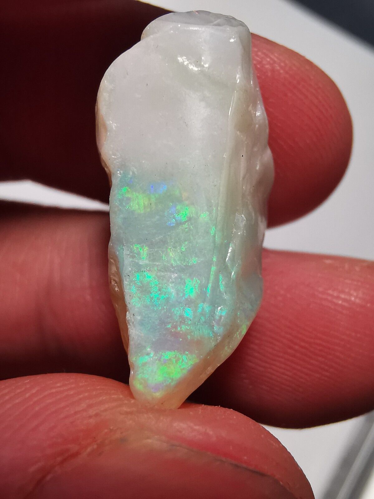 Rough opal Coober Pedy 12.3ct B1 Piece with Beautiful Colour