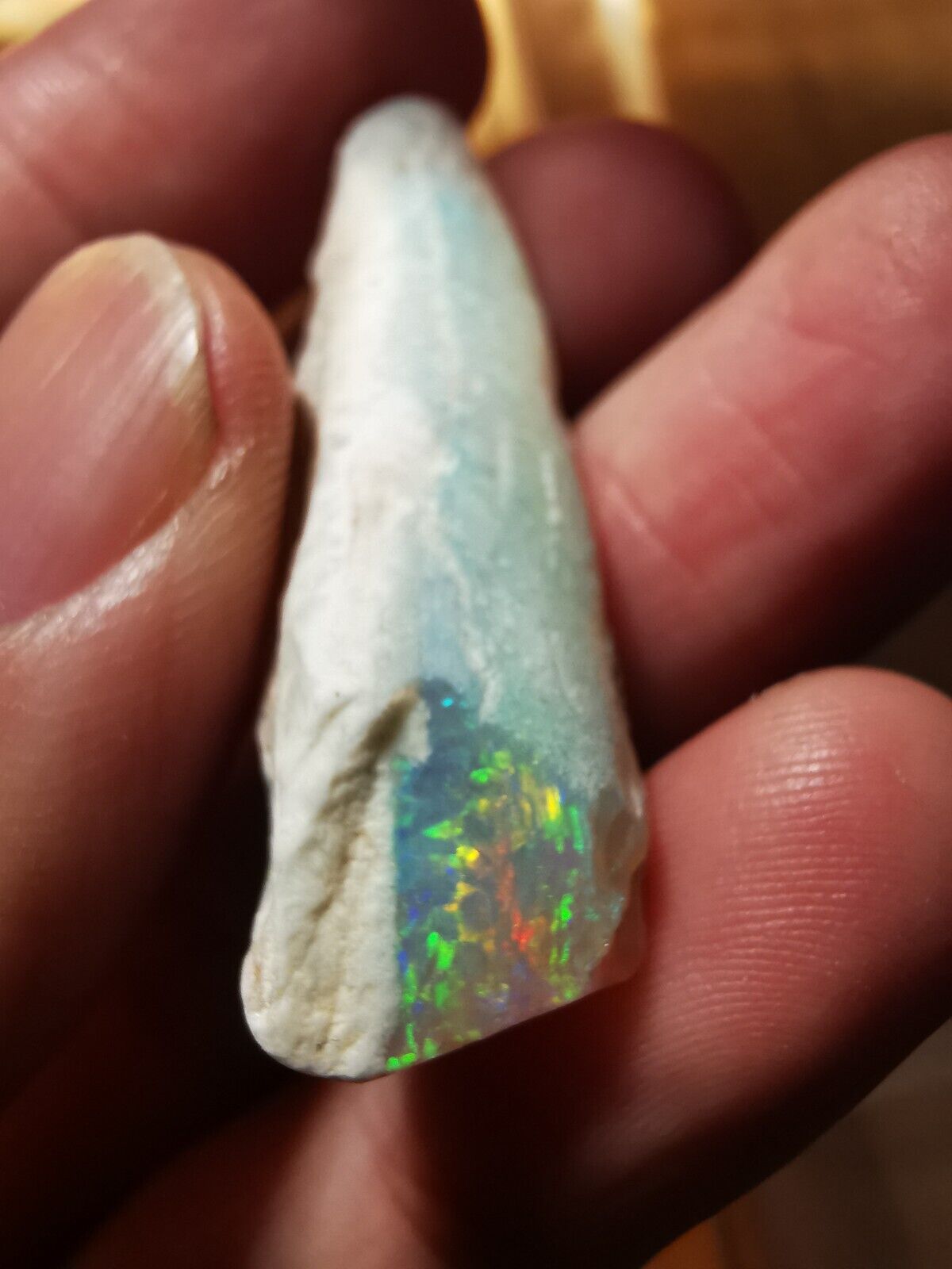 Coober Pedy Opal rough pipe 30ct with Beautiful Colour B1