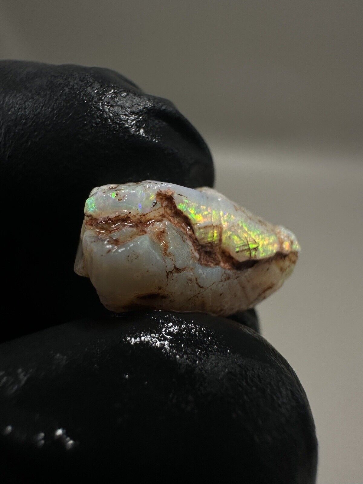 7.7Carats Solid Rough Coober Pedy Crystal Opal Shell Piece with Beautiful Colour