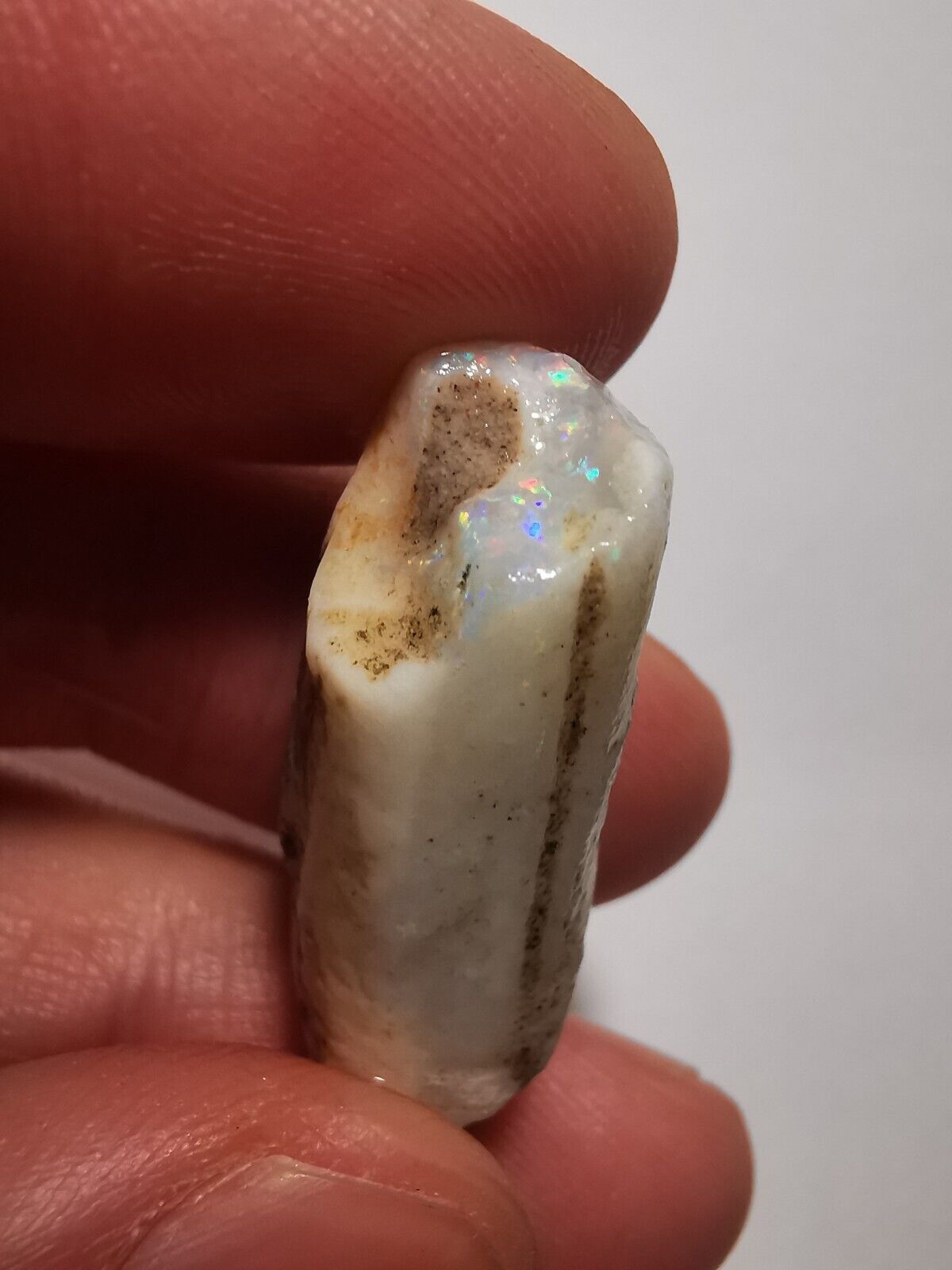 Coober Pedy Opal rough pipe 20.8 ct with Beautiful Colour B1