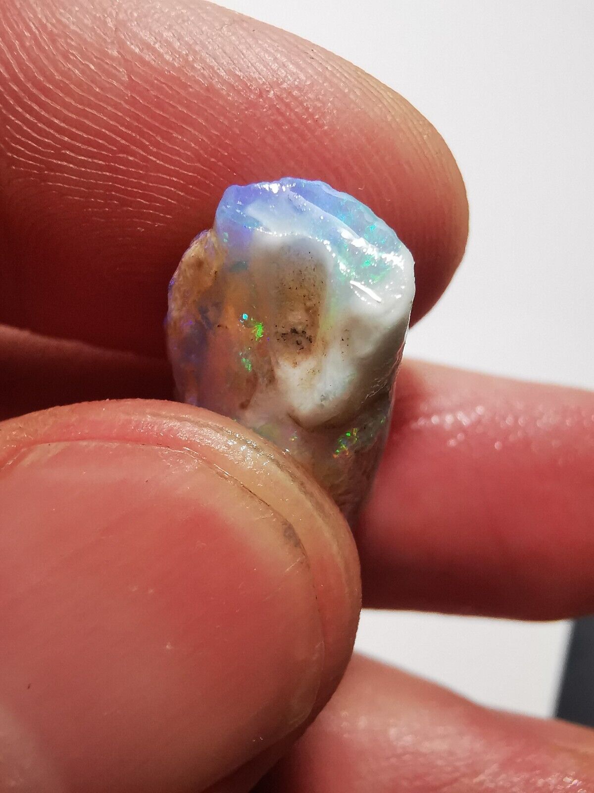 Coober Pedy Opal rough pipe 10.3ct with Beautiful Colour B1