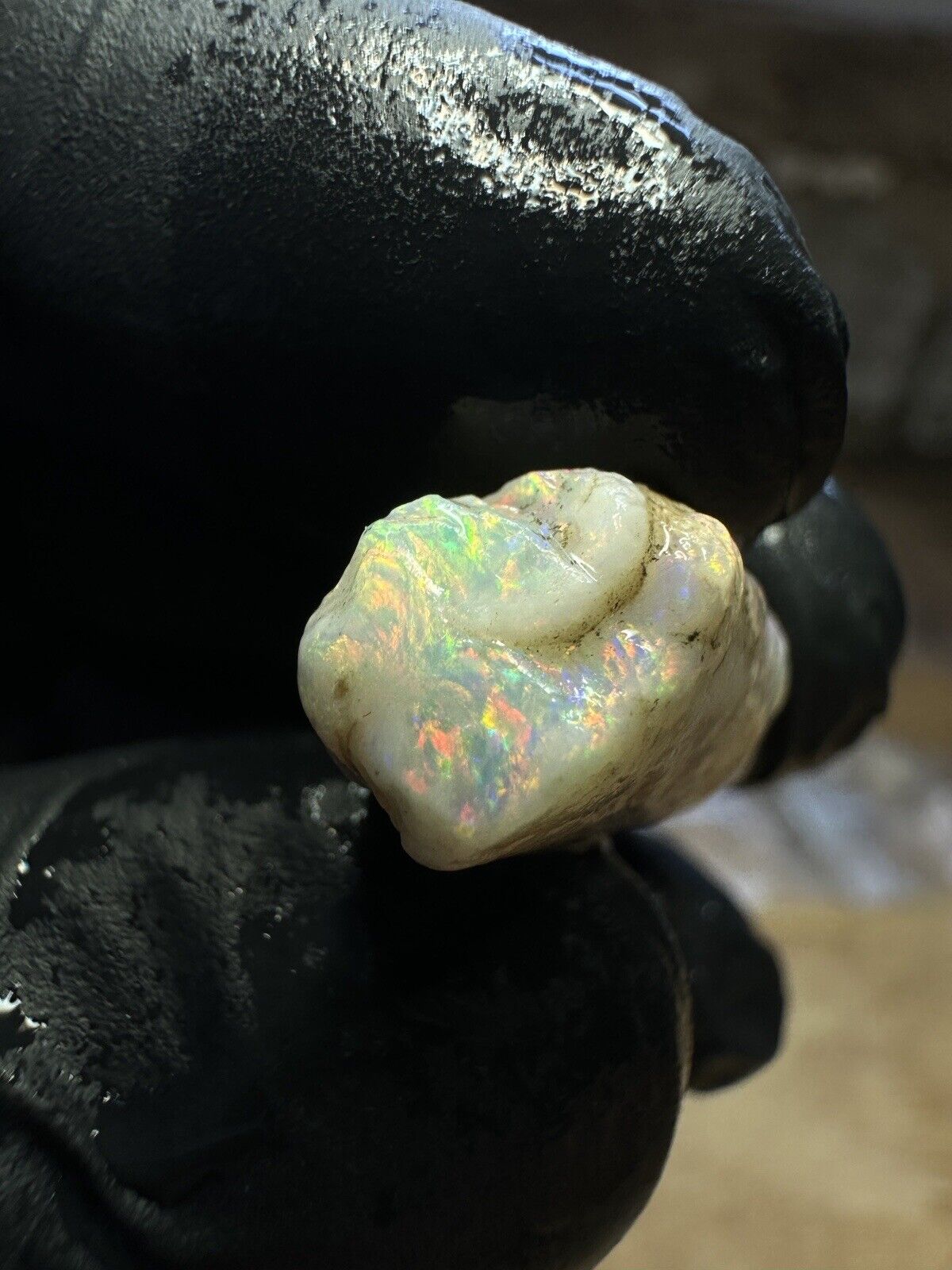 Coober Pedy 12.1ct Opalized Belemnit Pipe Piece with Incredible Colour