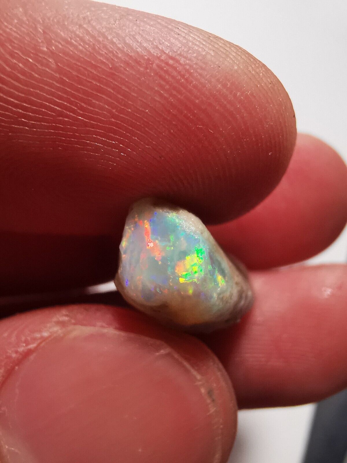 Coober Pedy Opal rough pipe 9.3 ct with Beautiful Colour B1