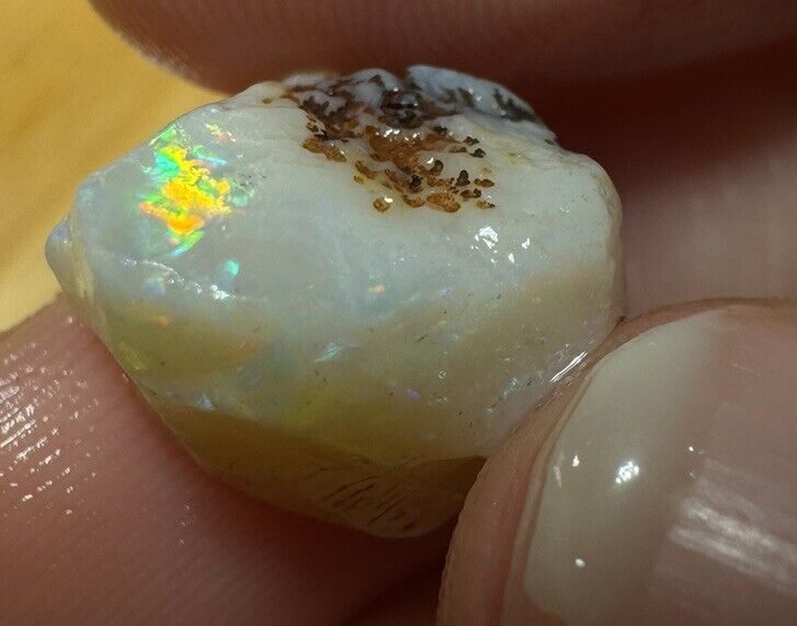 7.8 Carats Solid Rough Coober Pedy Opal Piece with Beautiful Colour B1 shell