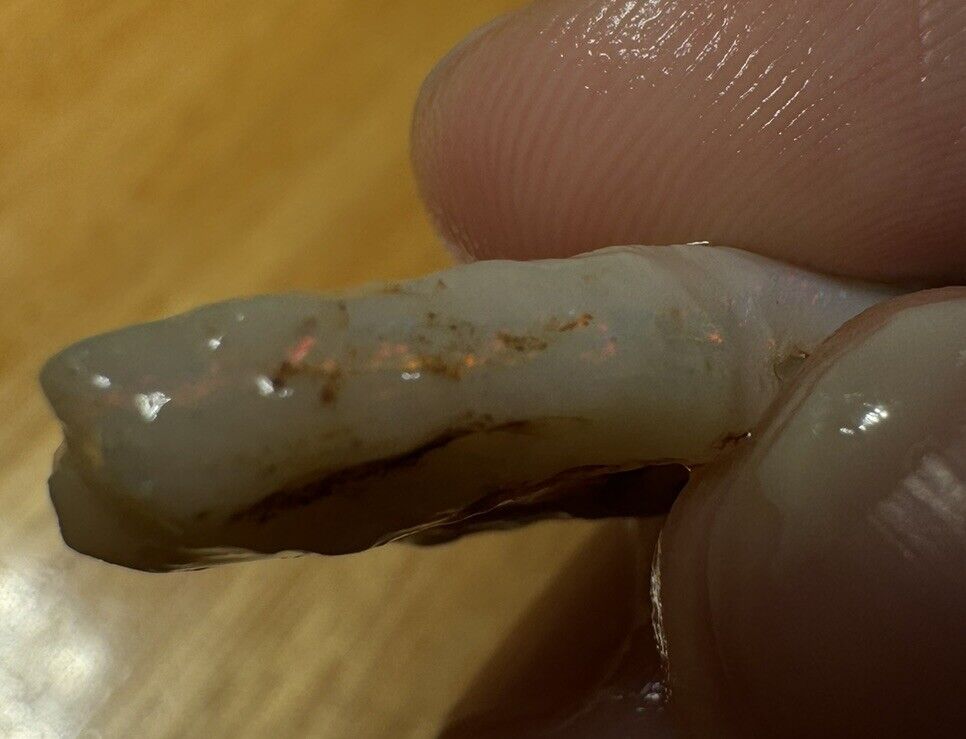 15.5 Carats Solid Rough Coober Pedy Opal Piece with Beautiful Colour B1 shell
