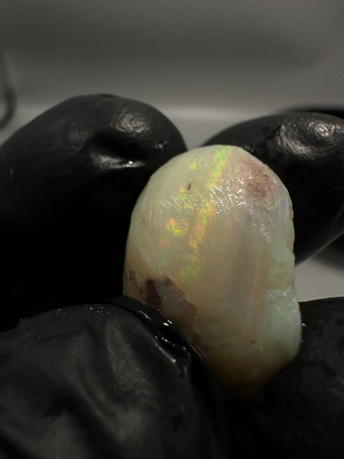 Coober Pedy Opal rough snail 23ct with Beautiful Colour B1