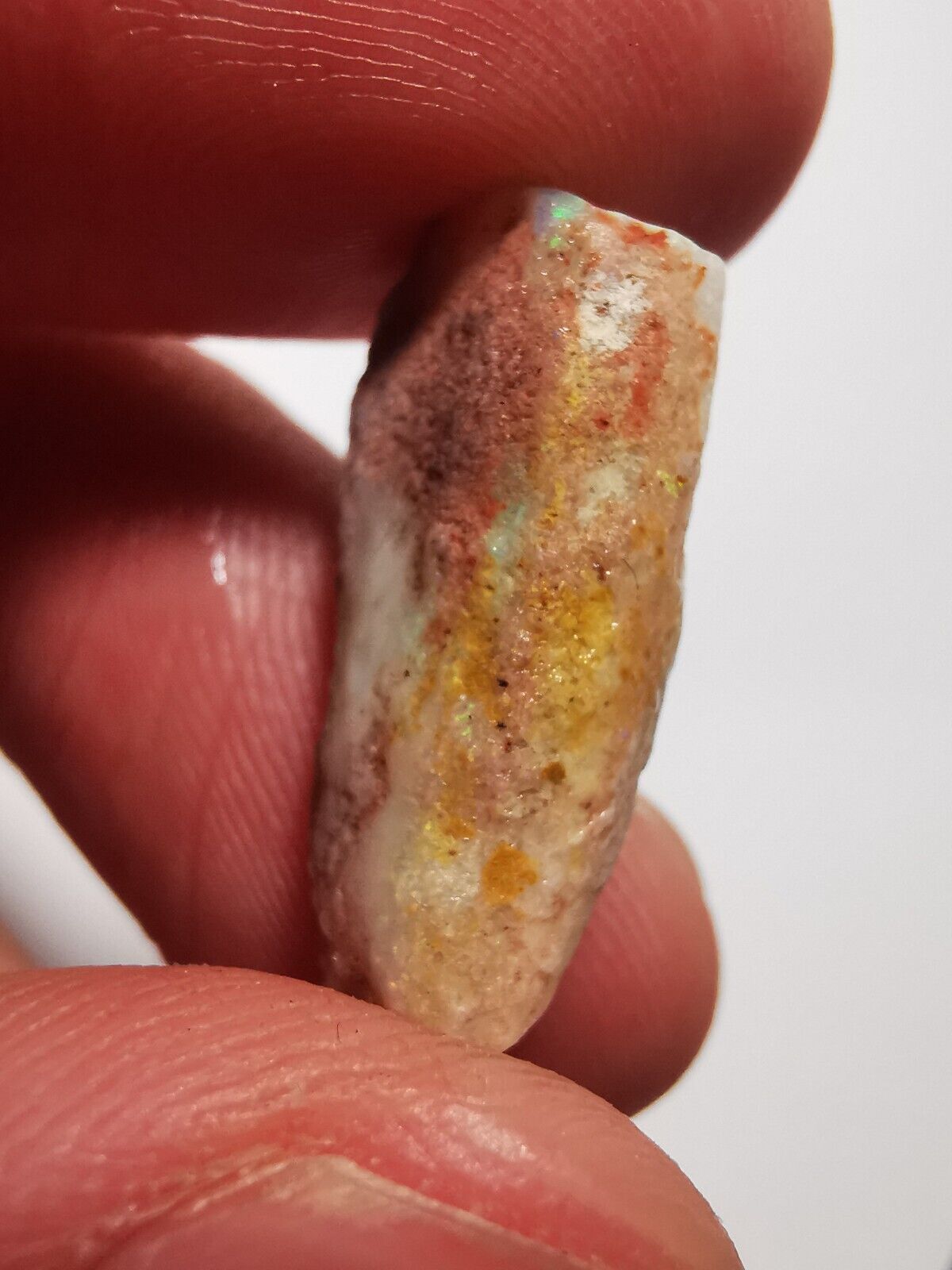 Coober Pedy Opal rough pipe 7.4 ct with Beautiful Colour B1