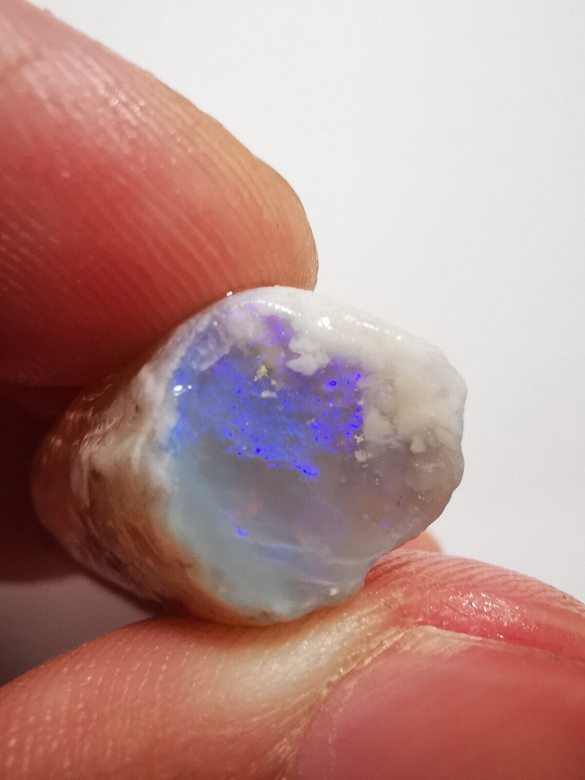 Coober Pedy Opal rough pipe 23.8ct with Beautiful Colour B1