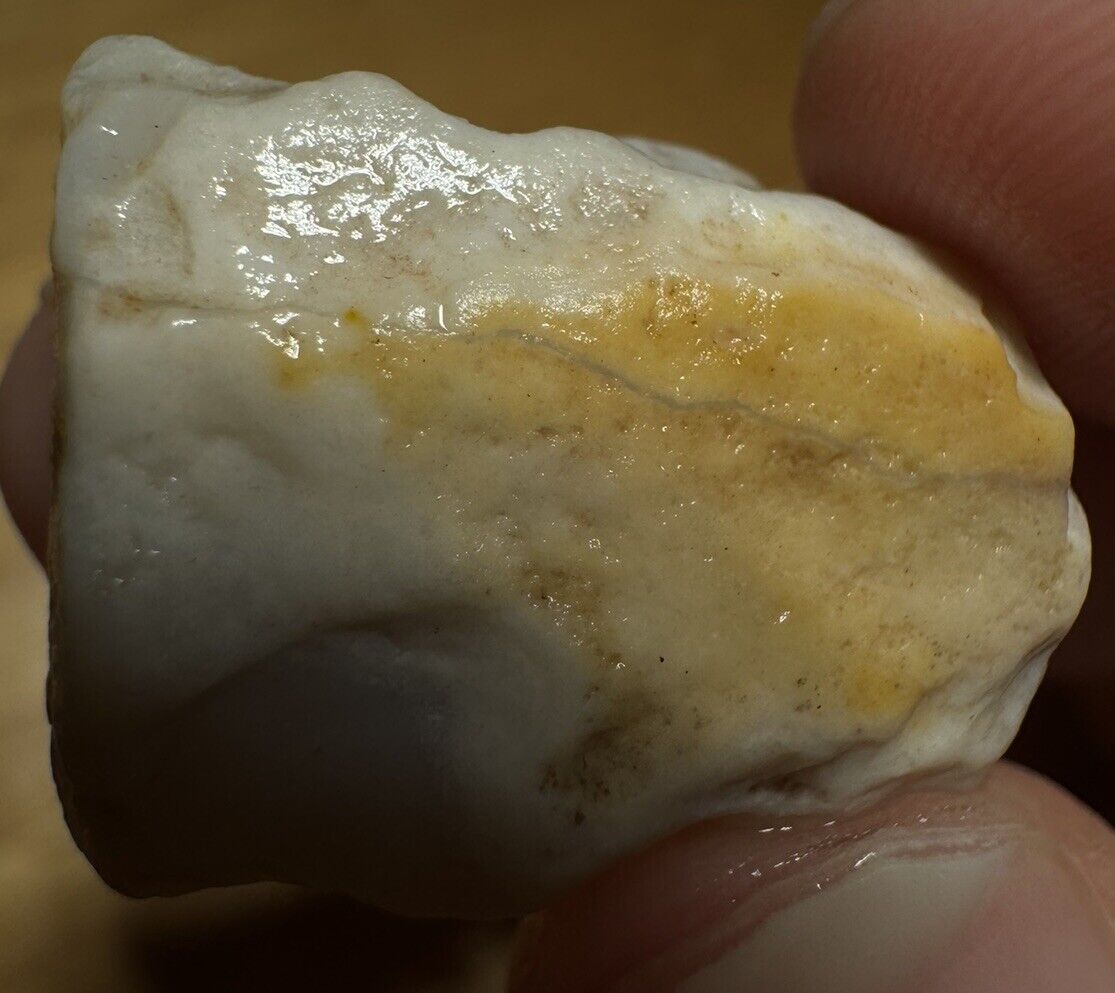 16.3 Carats Solid Rough Coober Pedy Opal Piece with Beautiful Colour B1