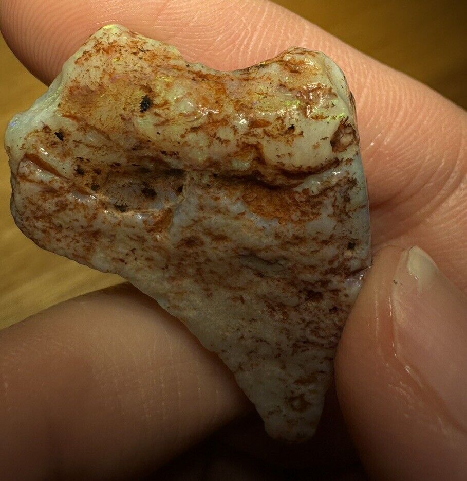 43.8 Carats Solid Rough Coober Pedy Opal Piece with Beautiful Colour C1