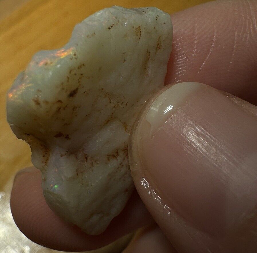8.6 Carats Solid Rough Coober Pedy Opal Piece with Beautiful Colour B1 shell
